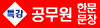 공무원_한문문장_독해특강_bnr
